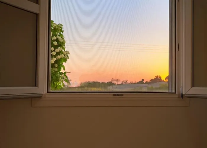 Youga Nest Apartament *