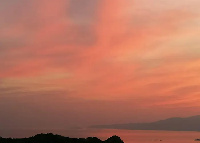 Youga Nest Apartament