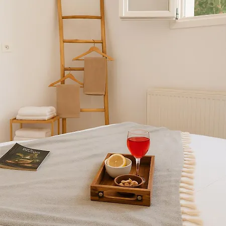 Youga Nest Апартаменты Vivlos