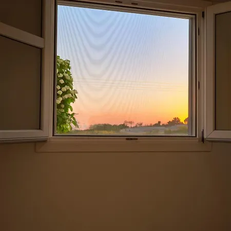 Youga Nest Апартаменты *