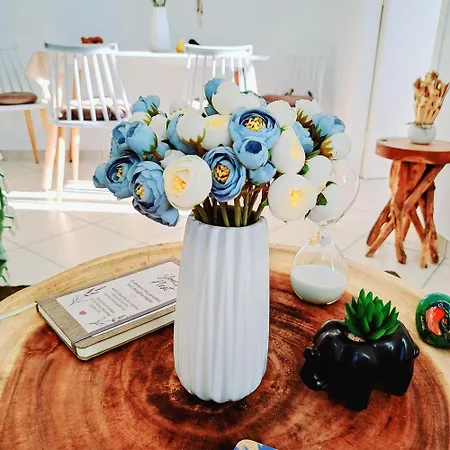 Апартаменты Youga Nest