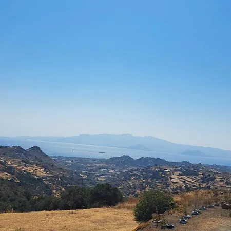 Апартаменты Youga Nest *