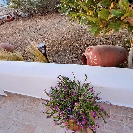 Youga Nest Апартаменты