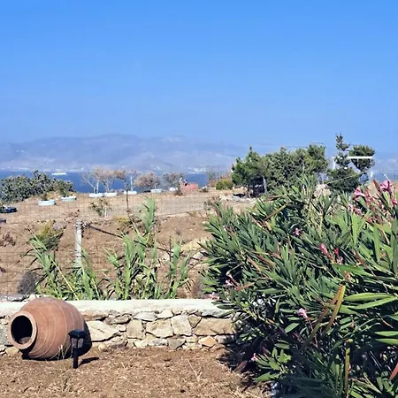 Апартаменты Youga Nest *