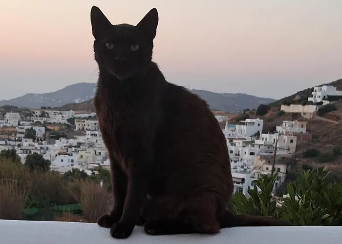 Youga Nest * Vívlos